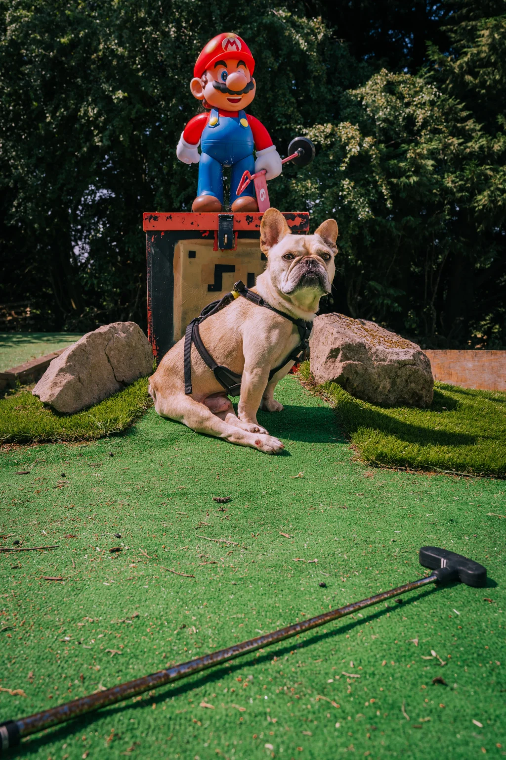 Minigolf at Camp Hillcrest