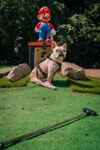 Minigolf at Camp Hillcrest